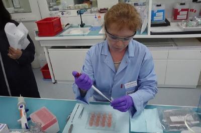 科技與美的碰撞 記者探訪歐萊雅研發中心與工廠，揭秘圣羅蘭美妝與人造皮膚創新